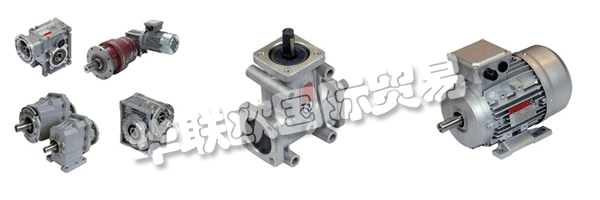 財產的意愿都是維持和鞏固集團的領導地位CHIARAVALLI,