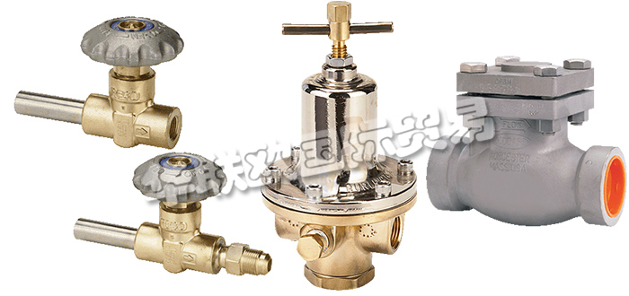 美國REGO公司主要供應:美國REGO閥門,REGO截止閥,低溫閥,止回閥,安全閥,閘閥,分流閥,減壓閥,調壓器等產品。